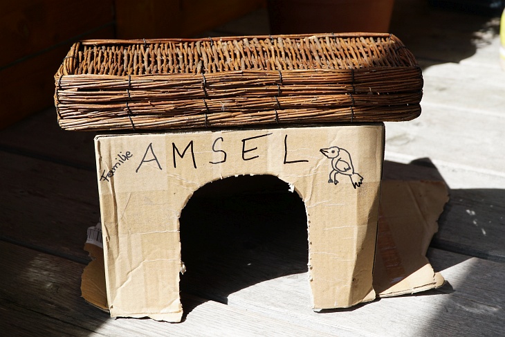 In der Hoffnung, zumindest eines der Küken würde seine Ästlings-Zeit bei uns auf der Terrasse abwarten, habe ich eine kleine Unterkunft vorbereitet.