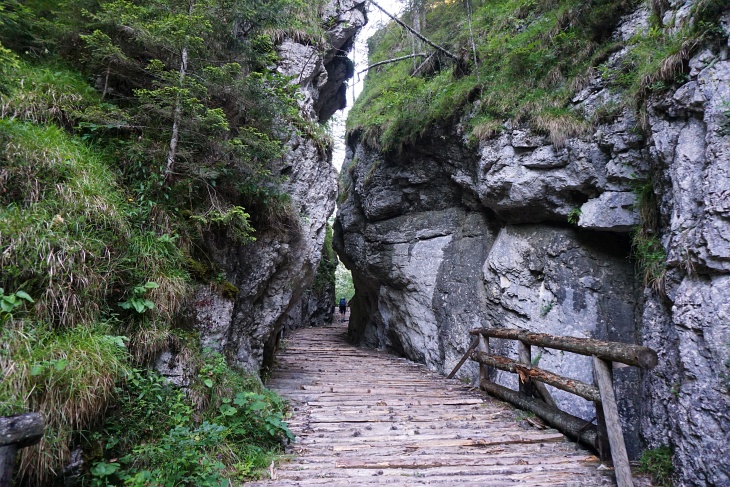 2 Tage nach der Ruachlertour im Sengsengebirge wollte ich gleich wieder eine weglose Route versuchen. Aber dieses Mal war ich besser vorbreitet und merkte rasch, dass wir hier in der Fölzklamm den Steig übersehen und bereits zu weit der Markierung gefolgt waren.