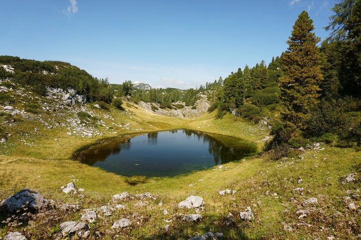 Henarsee